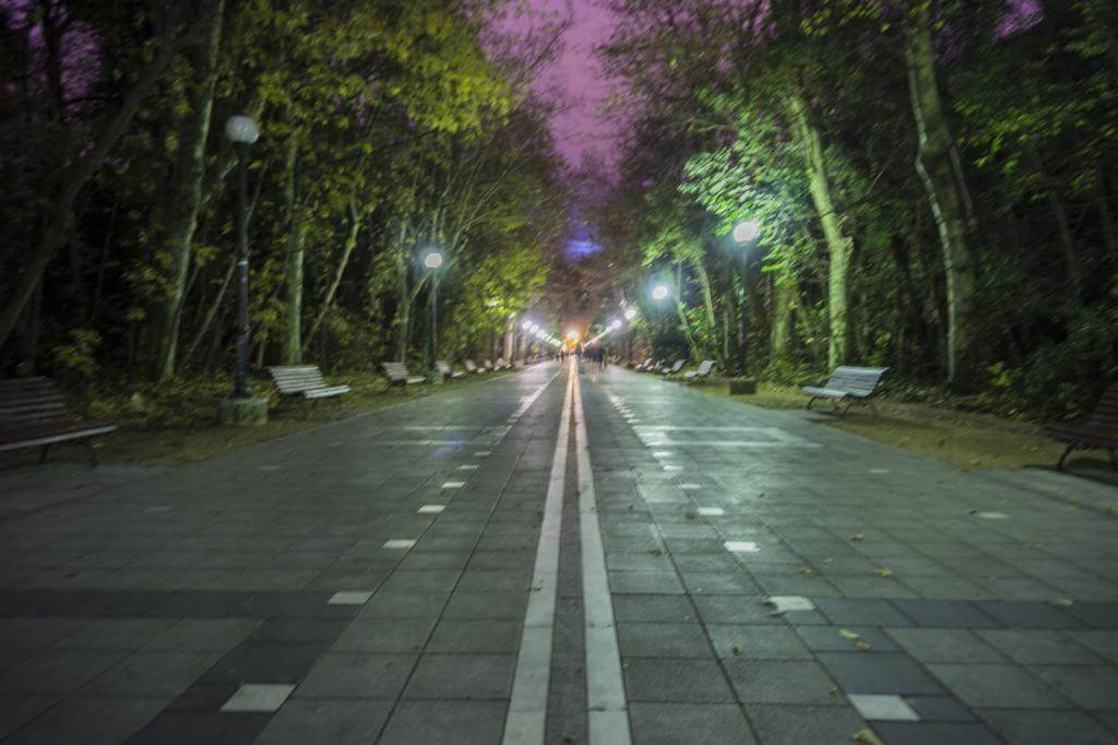 Campo Grande de Valladolid imagen